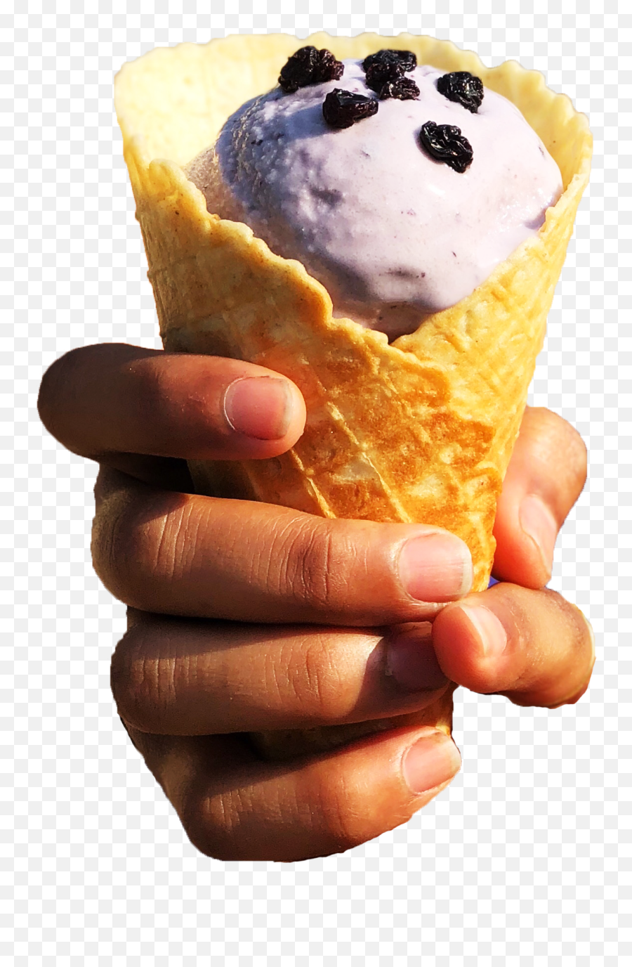 Blueberry - Png Dittoo Icecreams Cone Emoji,Blueberry Png