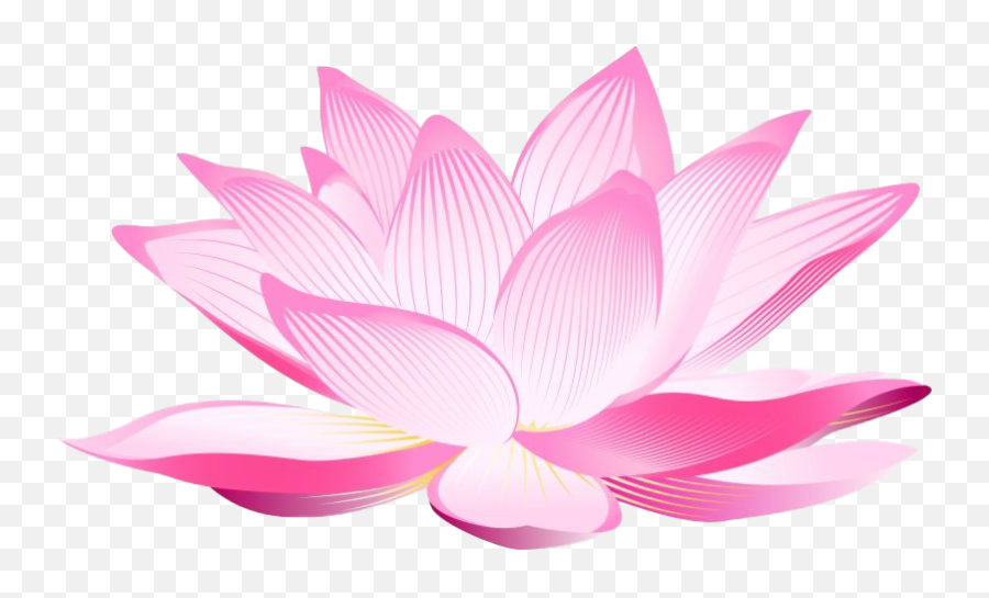 Lotus Flower Png Clipart Png All - Lotus Flower Png Emoji,Pic Clipart