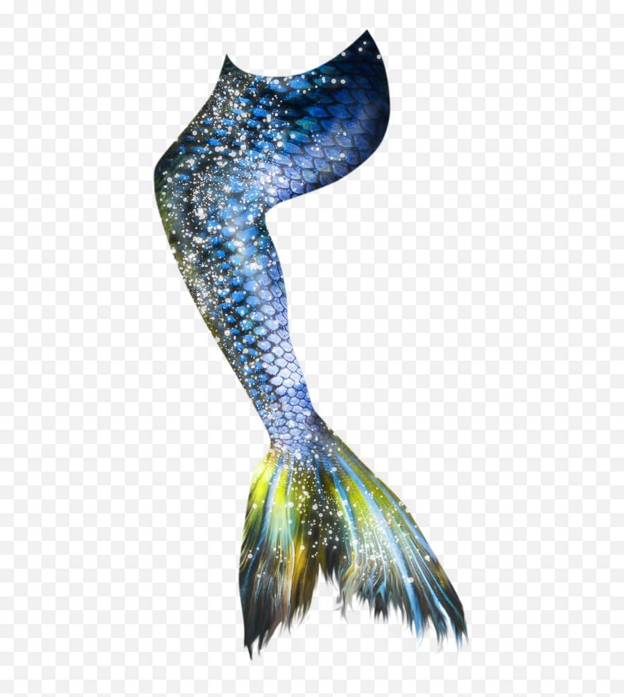 Colors 003d94 - Free Png Download Image Png Archive Emoji,Mermaid Fin Clipart
