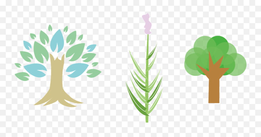 Treeplantlingfree Vector Graphicsfree Pictures - Free Emoji,Tree Logo Vector