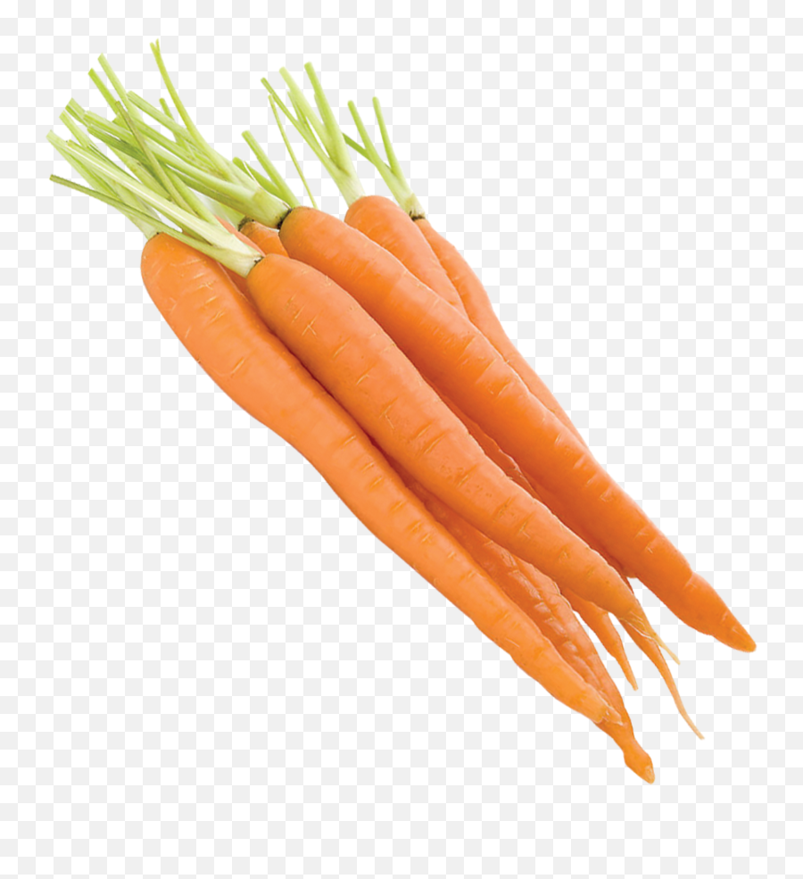 Free Transparent Baby Carrot Png - Carrot Emoji,Carrot Transparent Background