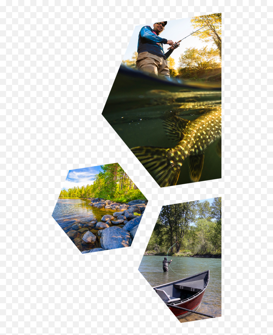 Fishing Outfitters Association Of Montana - Black Wood Lake Nb Emoji,Transparent Water In Montana