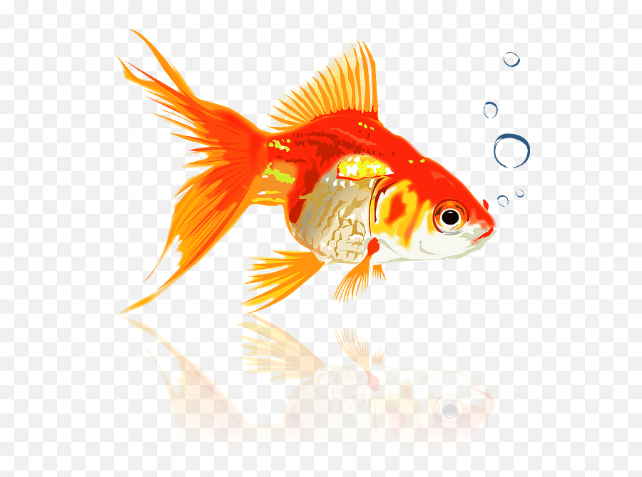 Goldfish Clipart Emoji,Goldfish Clipart