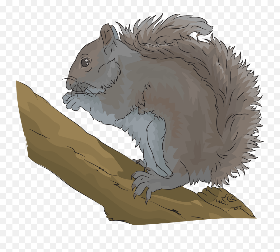 Eastern Grey Squirrel Clipart Free Download Transparent - Gray Squirrel Clipart Emoji,Squirrel Clipart