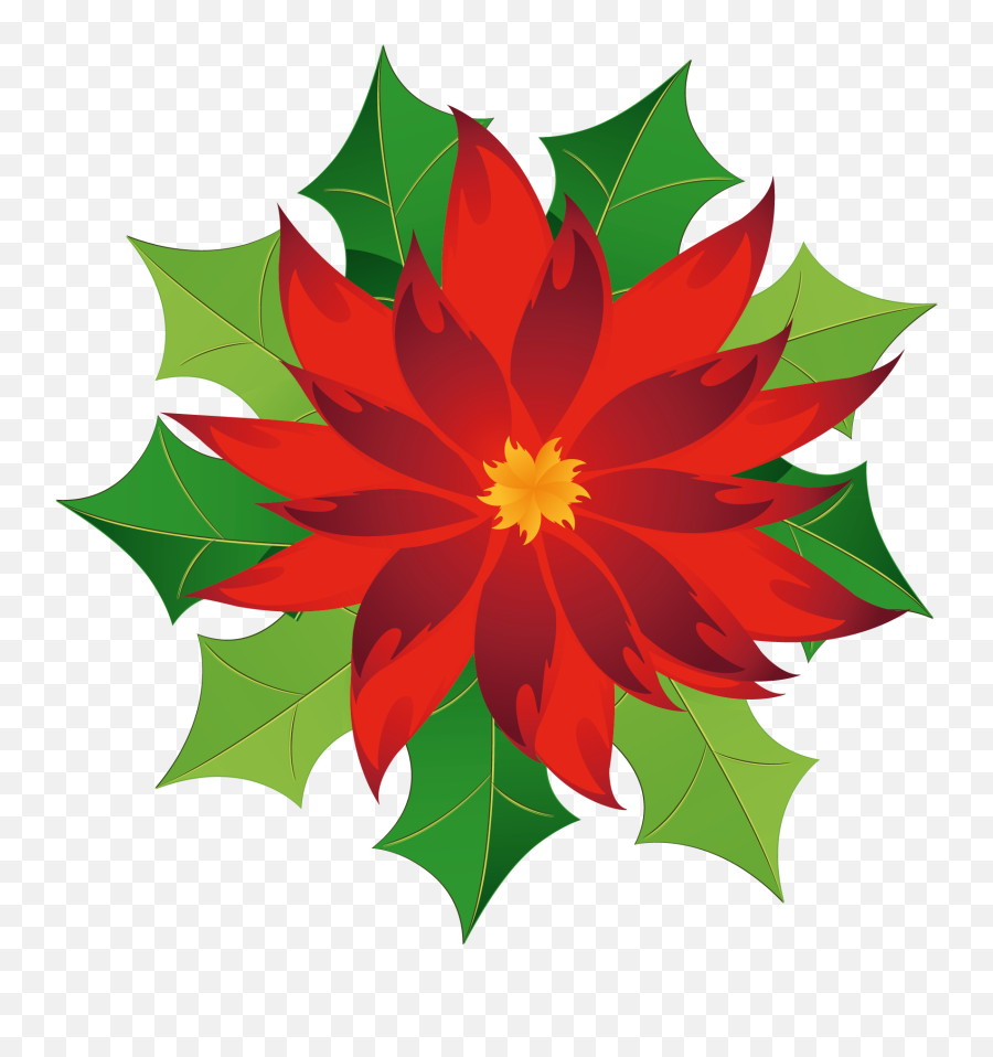 Poinsettia Clip Art Png Image With No - Christmas Flower Clipart Png Emoji,Poinsettia Clipart