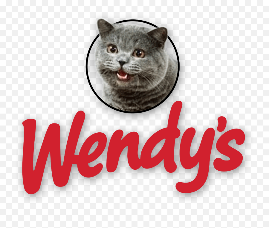 Cat Logos Steve Lovelace - Wendys Cat Emoji,Wendys Logo