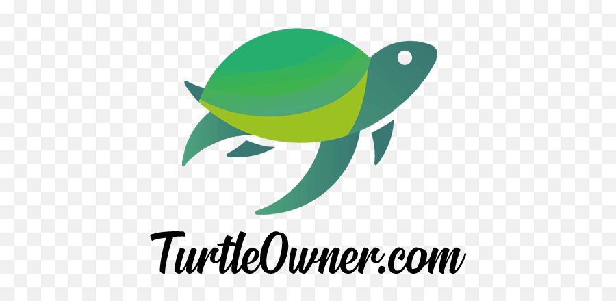 Turtle - Language Emoji,Turtle Logo