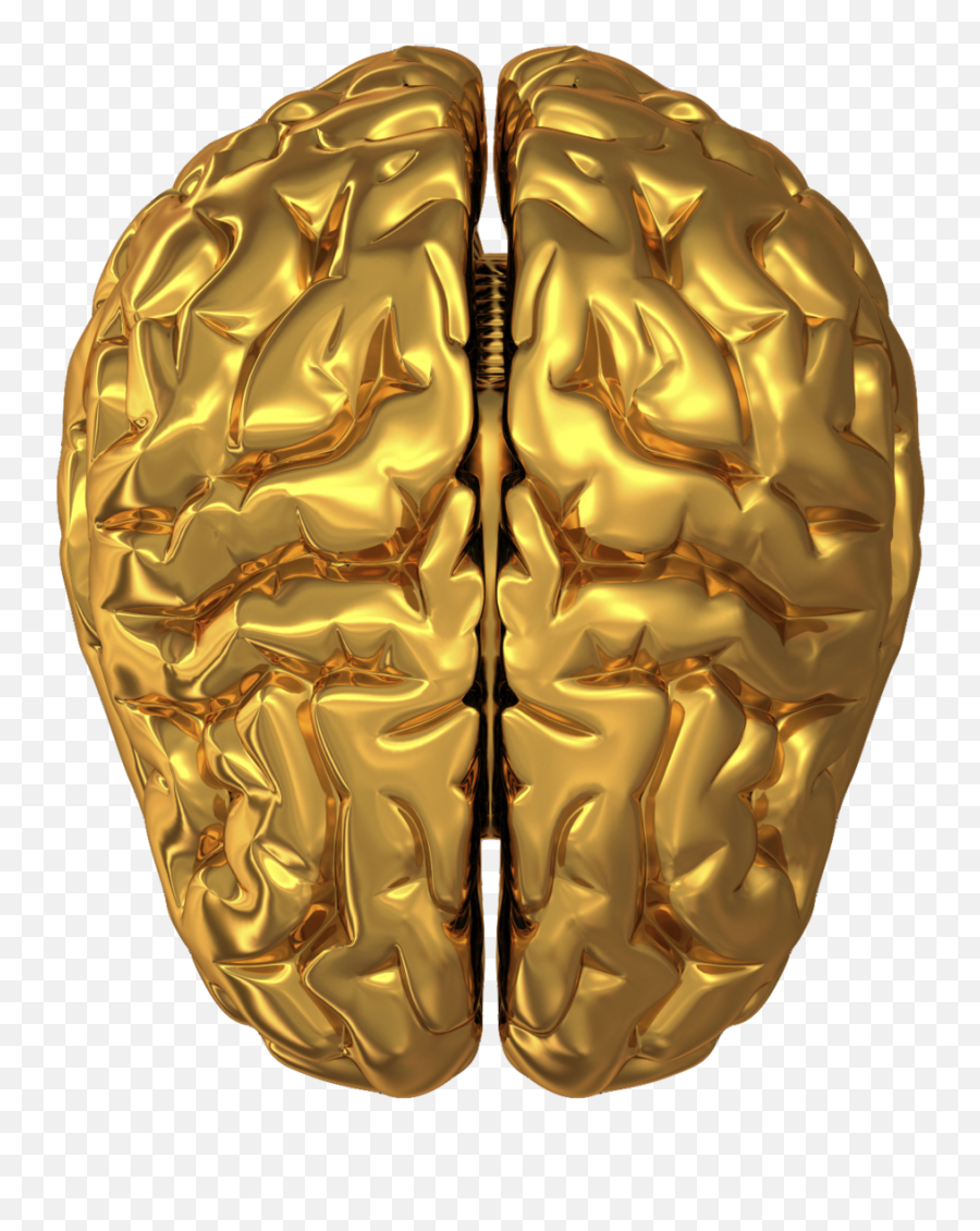 Brain Png Hd Free Brain Hd - Golden Brain Png Emoji,Brain Png