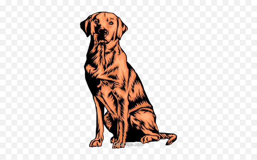 Labrador Retriever Royalty Free Vector - Transparent Lab Vector Png Emoji,Labrador Clipart
