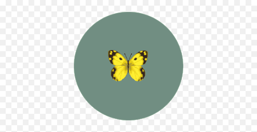 Yellow Butterfly Emoji,Yellow Butterfly Png