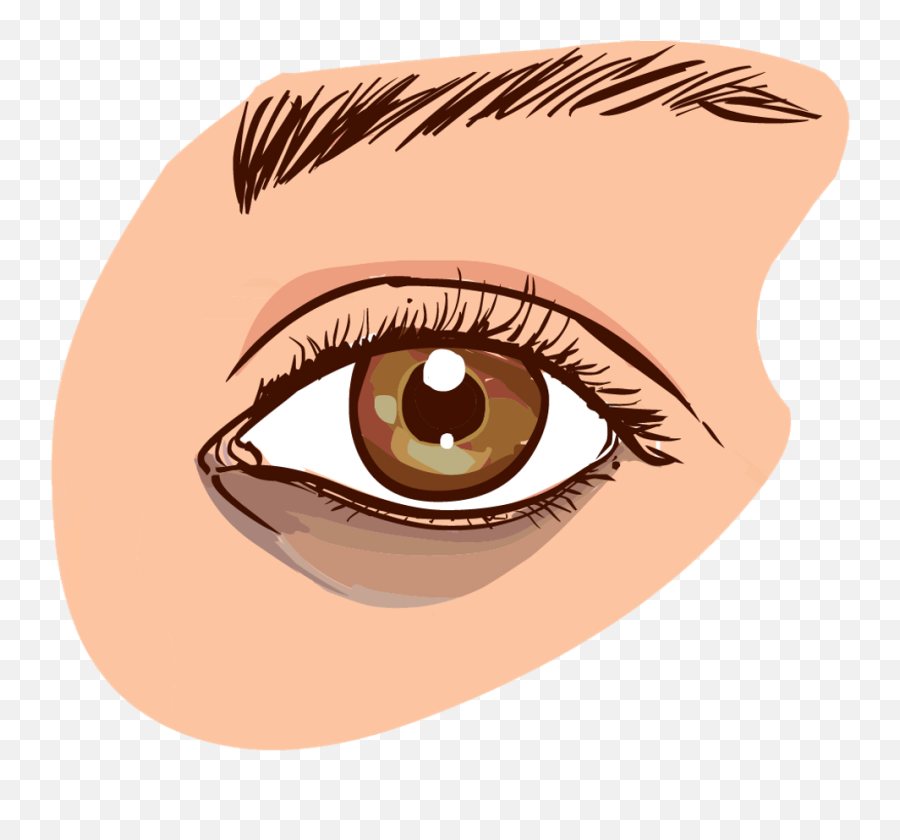 Brown Eyes Clipart Small Eye - Get Rid Of Dark Circles Fast Brown Eye Clipart Emoji,Eyes Clipart