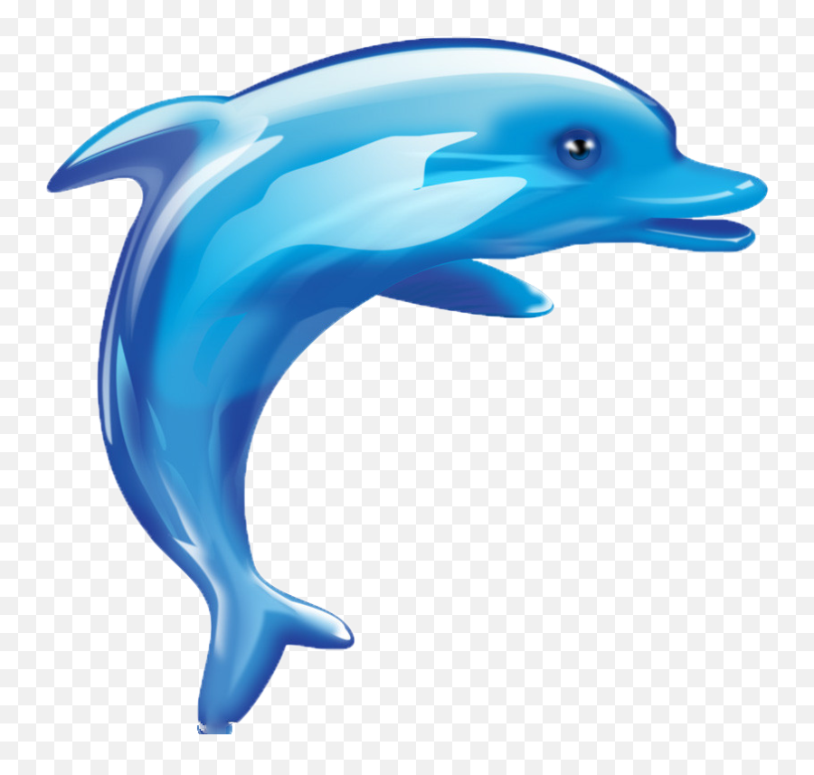 Free Transparent Dolphin Png Download - Cartoon Dolphin Png Emoji,Dolphin Png