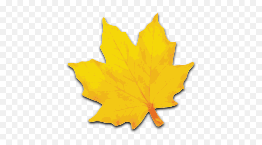 Clipart Maple Leaf Outline - Yellow Leaf Clipart Png Emoji,Maple Leaf Clipart