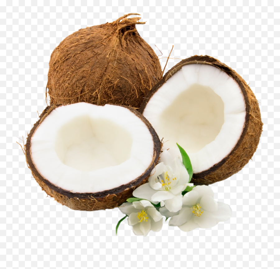 Coconut Png Clipart - Transparent Transparent Background Coconut Emoji,Coconut Clipart