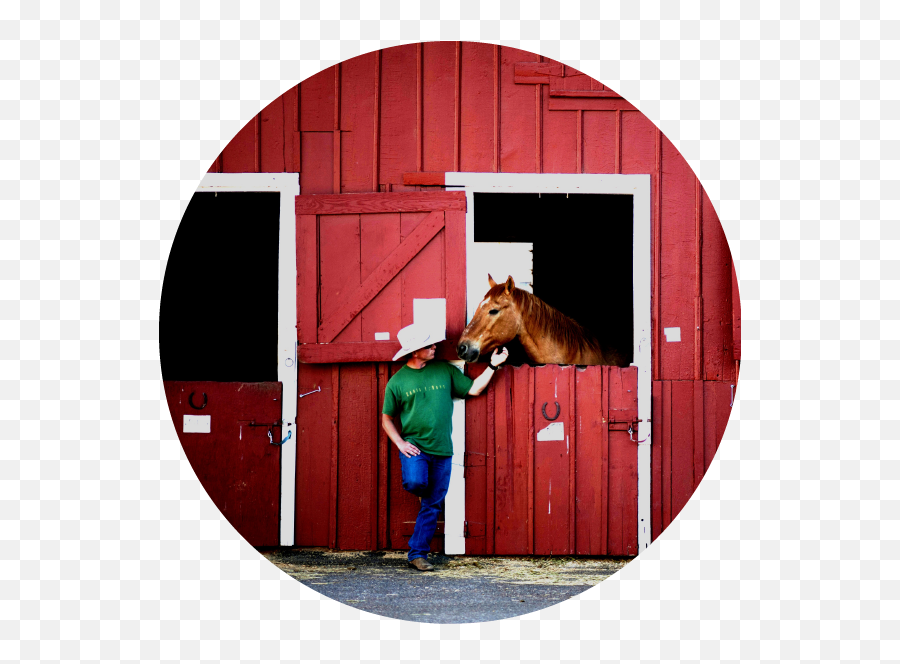 Simplete Essential Is A Complete Equine Supplement - Horse Guard Texas Emoji,Horse Transparent