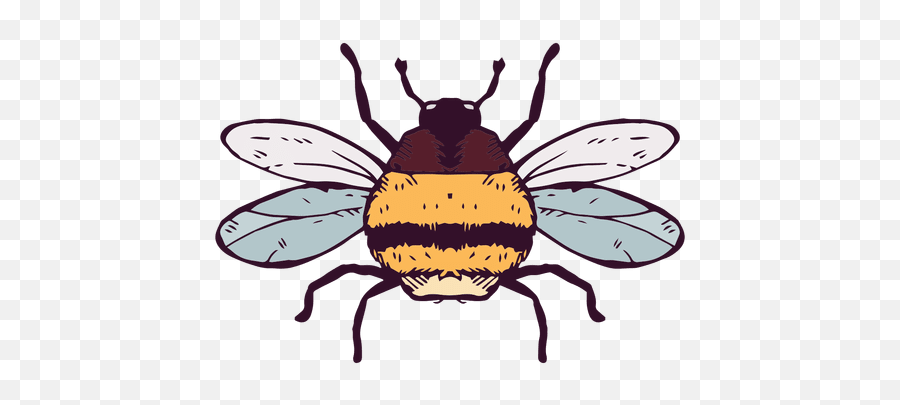 Bumble Bee - Bumble Bee Transparent Background Emoji,Bee Transparent