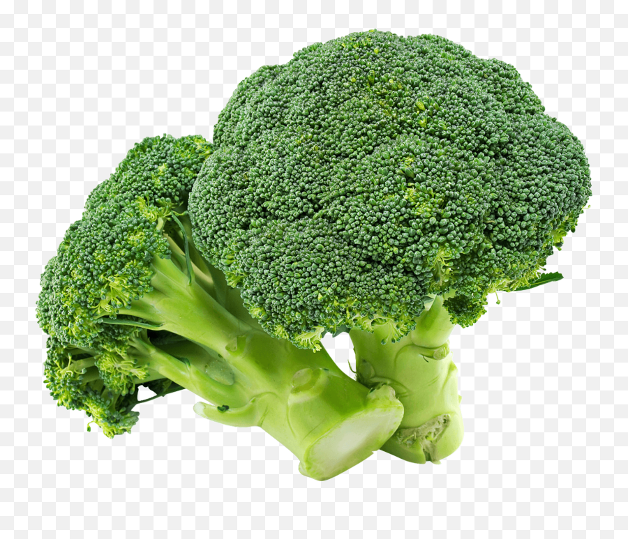 Free Transparent Broccoli Png Download - Broccoli Transparent Emoji,Broccoli Png