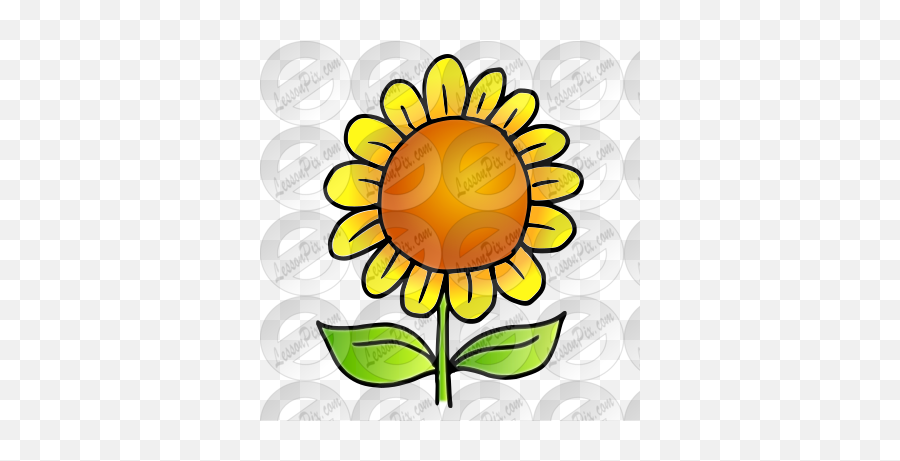 Sunflower Picture For Classroom - Happy Emoji,Sunflower Clipart