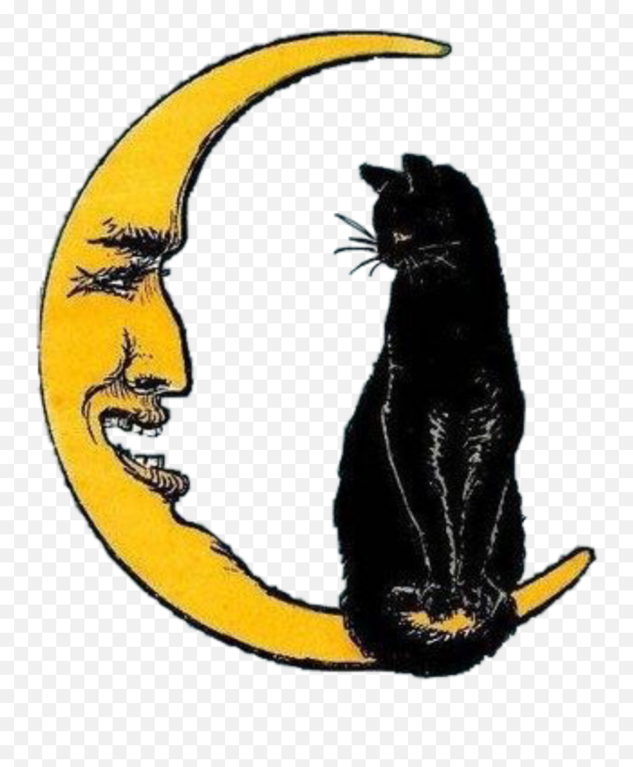 Cat Drawing Transparent Cartoon - Vintage Halloween Clipart Emoji,Vintage Halloween Clipart