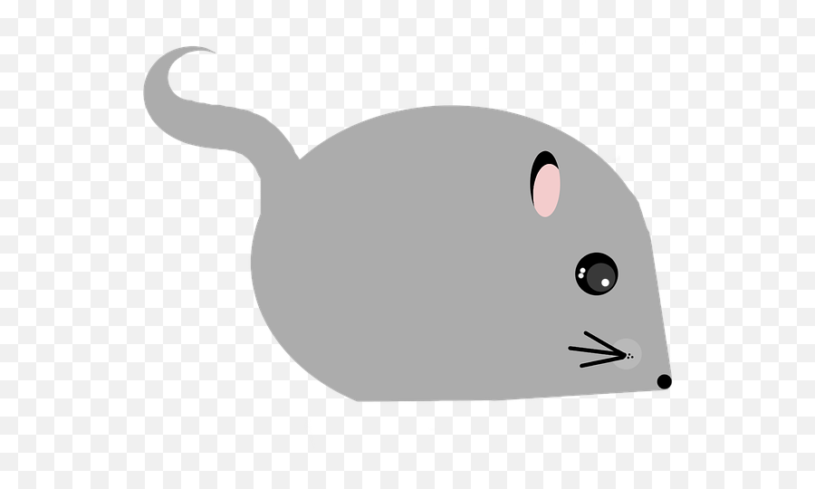Free Photo Mouse Animal Fauna Rat Rodent - Max Pixel Emoji,Mouse Animal Png