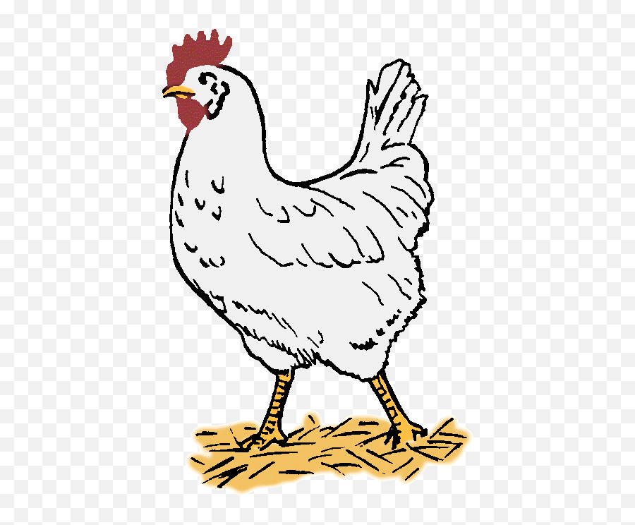 Chicken Vector - Clipart Best Hen Drawing Black And White Emoji,Chicken Clipart Black And White