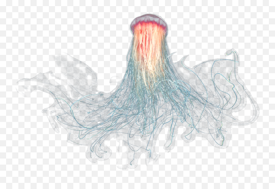 Jellyfish Png - Transparent Background Jellyfish Png Emoji,Jellyfish Transparent Background
