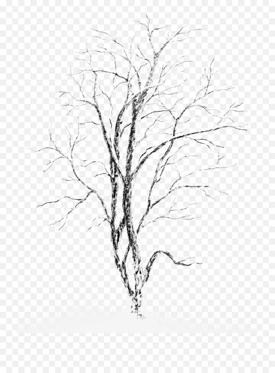 Download White Winter Tree Png - Snow Winter Tree Png Emoji,Winter Tree Clipart