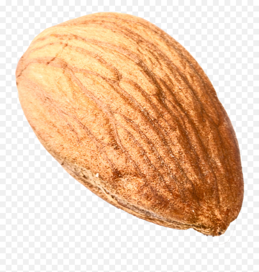 Nut Png Download Image - Single Almond Png Transparent Emoji,Nut Png