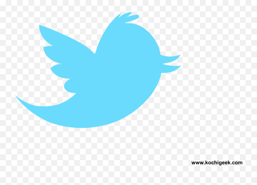 Best Twitter Transparent Background - Twitter Logo Png Emoji,Facebook Logo Png Transparent Background