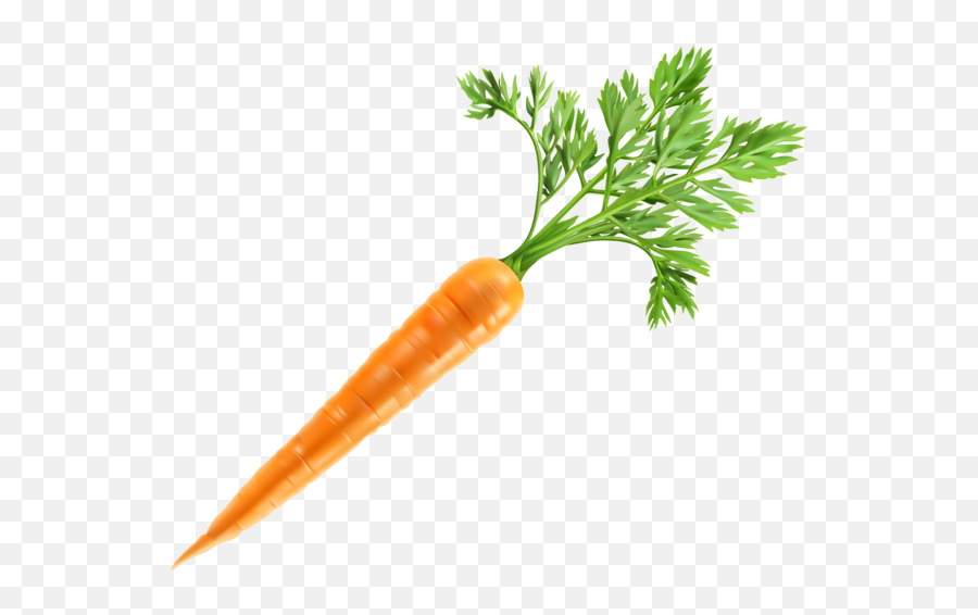 Carrot Png Images Carrots Clipart Free - Carrot Top Png Free Emoji,Carrot Transparent Background