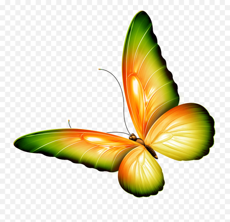 Butterfly Emoji,Butterflies Clipart