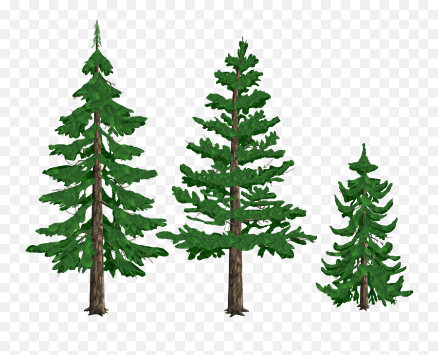 Download Pine Tree Free Png Transparent - Transparent Background Pine Tree Clip Art Emoji,Tree Clipart