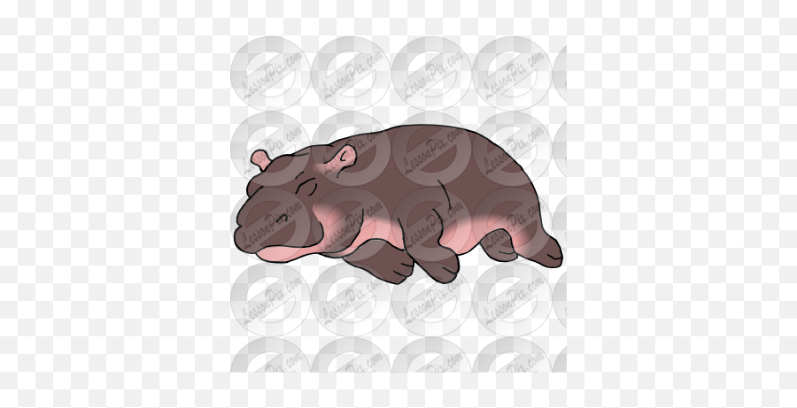 Sleeping Baby Hippo Picture For - Hippopotamus Emoji,Hippo Clipart