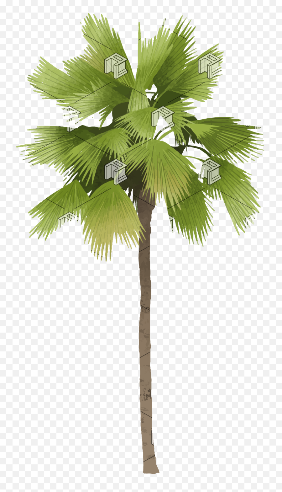 Palm Png - Tree Illustration Cutout Archlibrary Emoji,Tree Illustration Png