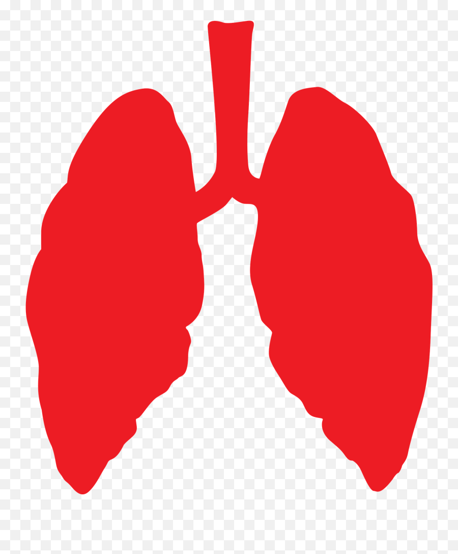 As Hurricane Michael Approaches Florida - Bronchits Png Emoji,Lungs Clipart
