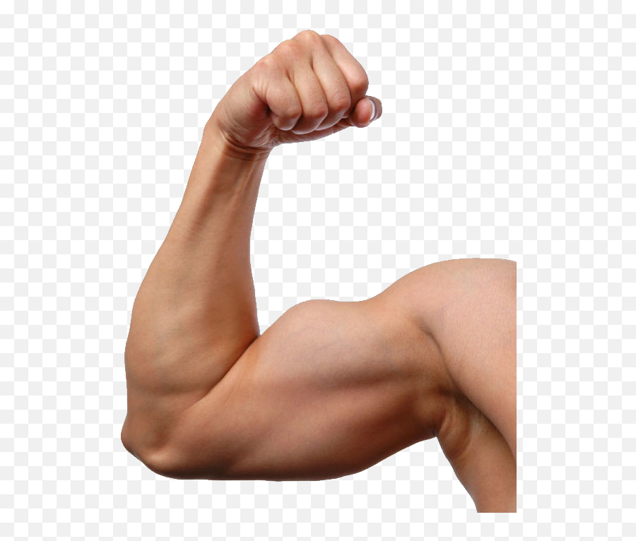 Muscle Arm Png Image Transparent - Transparent Background Muscular Arm Png Emoji,Arm Png