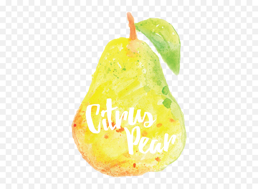 Download Citrus Pear Logo - European Pear Emoji,Pear Logo