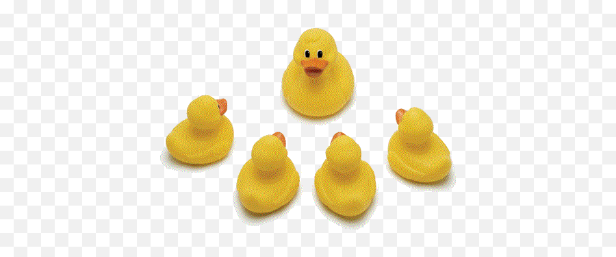 Rubber Ducks Animated Images Gifs Pictures Emoji,Rubber Duck Transparent Background