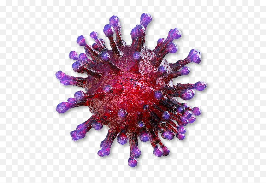 Coronavirus Covid - 19 Update Emoji,Update Png