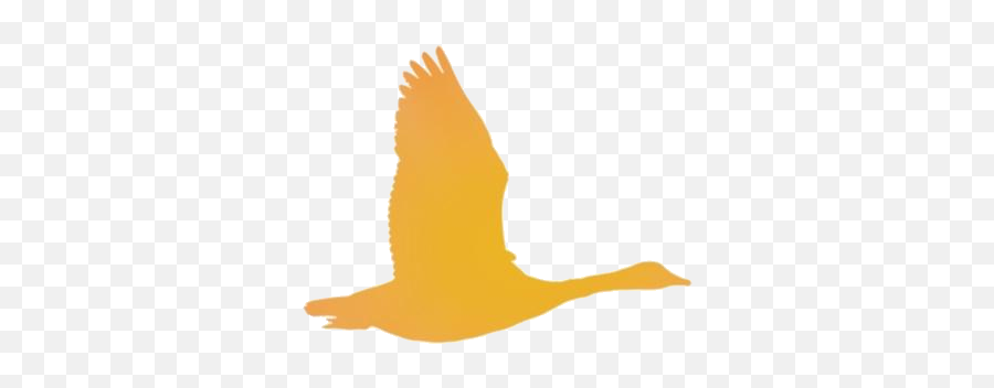 Transparent Goose Flying Clipart Image Pngimagespics - Duck Emoji,Goose Clipart