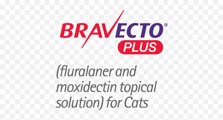 Bravecto Plus For Cats Flea Tick Heartworm U0026 Intestinal - Bravecto Plus Logo Emoji,Plus Logo