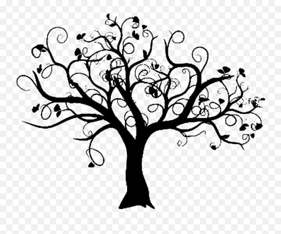 The Fig Tree Tree Of Life Family Tree - Transparent Family Tree Png Free Emoji,Tree Of Life Clipart