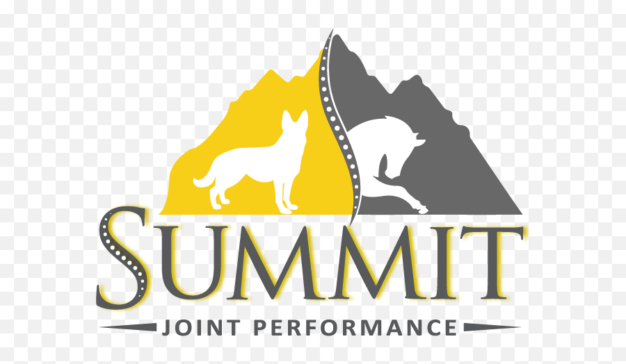 Summit Jp U2013 Performance U2013 Mobility U2013 Comfort - Summit Joint Performance Emoji,Joint Png