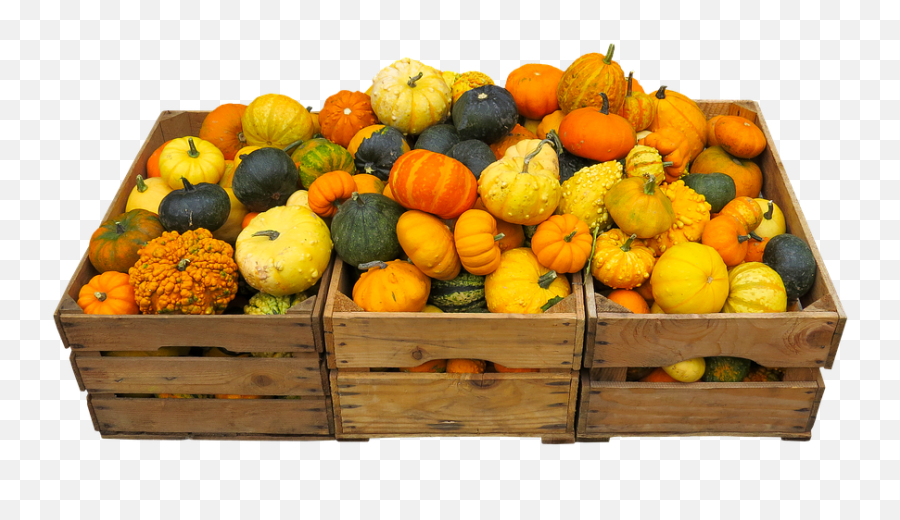 Thanksgiving Png Images - Gourd Emoji,Thanksgiving Png
