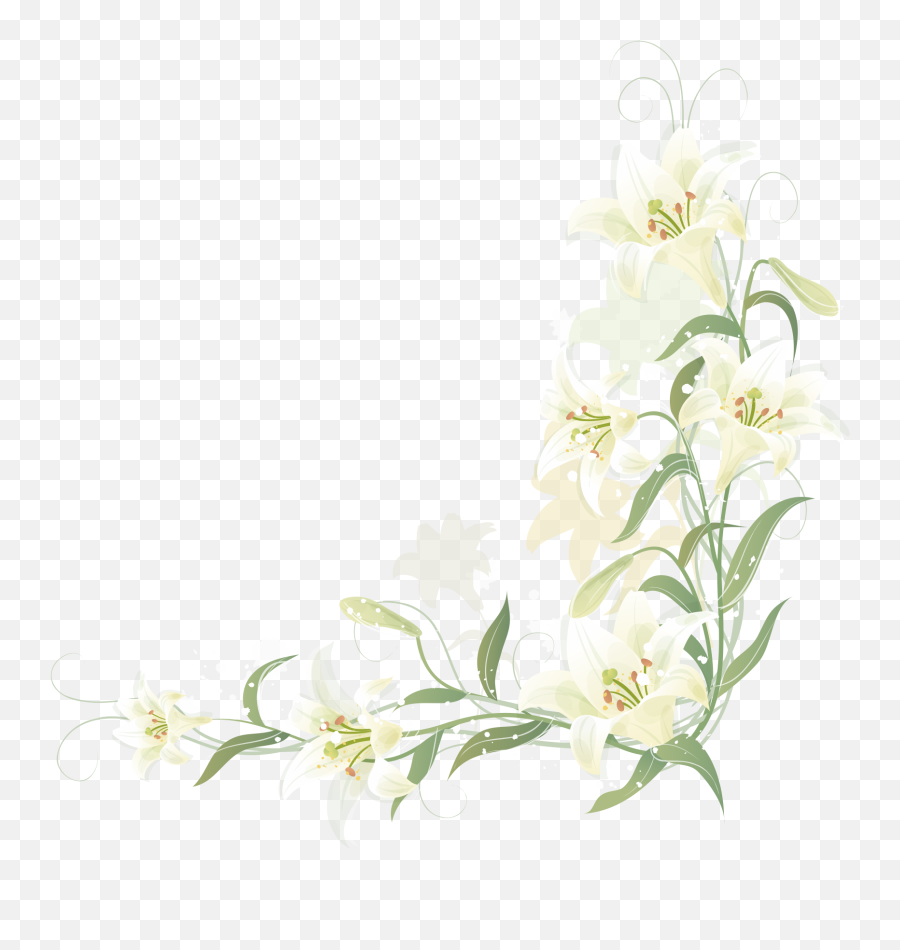 Transparent Lily Flower Border - Lily Flower Border Png Emoji,Flower Border Transparent