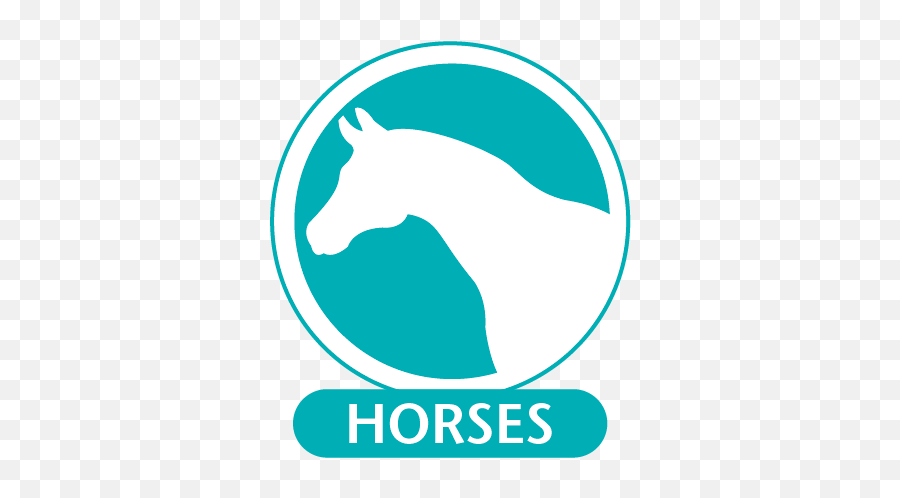 Horses - Language Emoji,Horses Png