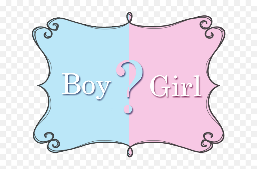 Boy Or Girl - A Boy Or Girl Png Emoji,Its A Girl Png