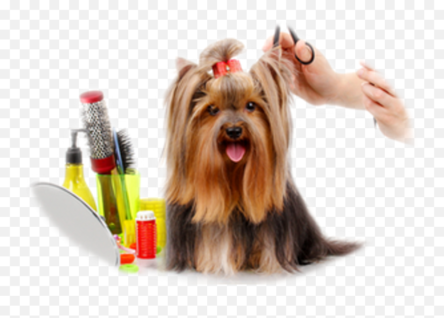 Dog Groomer Barber Cosmetologist Veterinarian - Dog Png Emoji,Dog Grooming Clipart