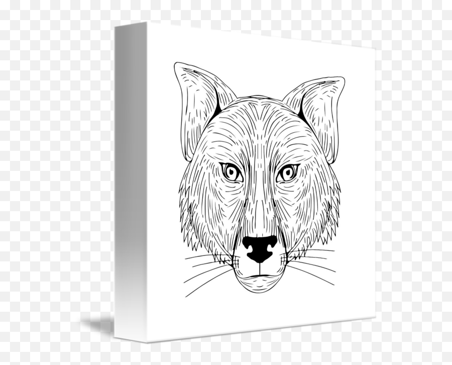 Fox Head Front Drawing By Aloysius Patrimonio Emoji,Fox Head Png