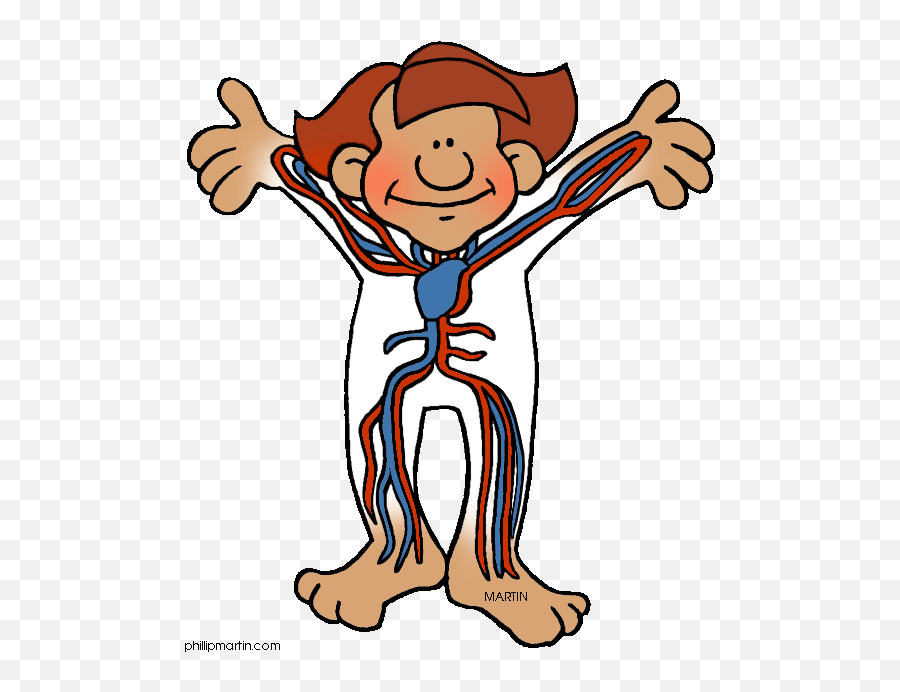 Circulatory System Png - Hear A Real Heartbeat Cartoon Circulatory System Kid Cartoon Emoji,Heartbeat Clipart